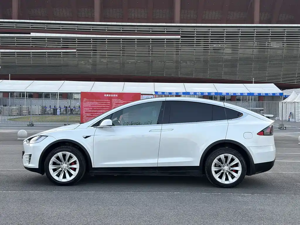 Tesla Model X 2019 — фото 6