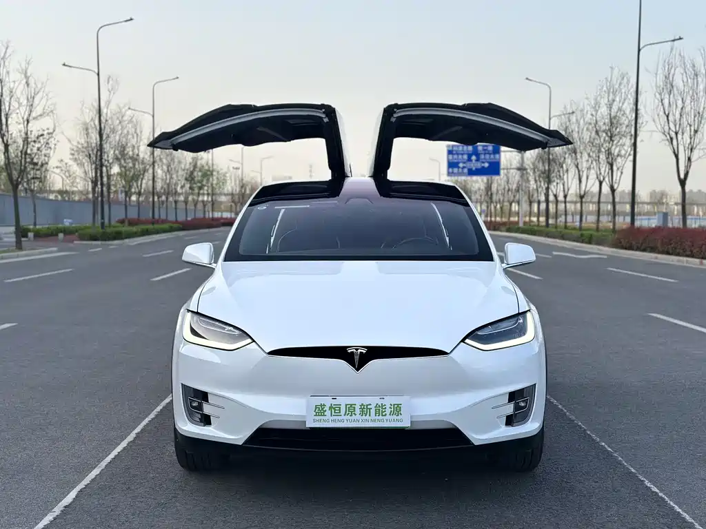 Tesla Model X 2019 — фото 10