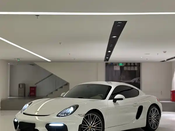 Porsche Cayman 2013