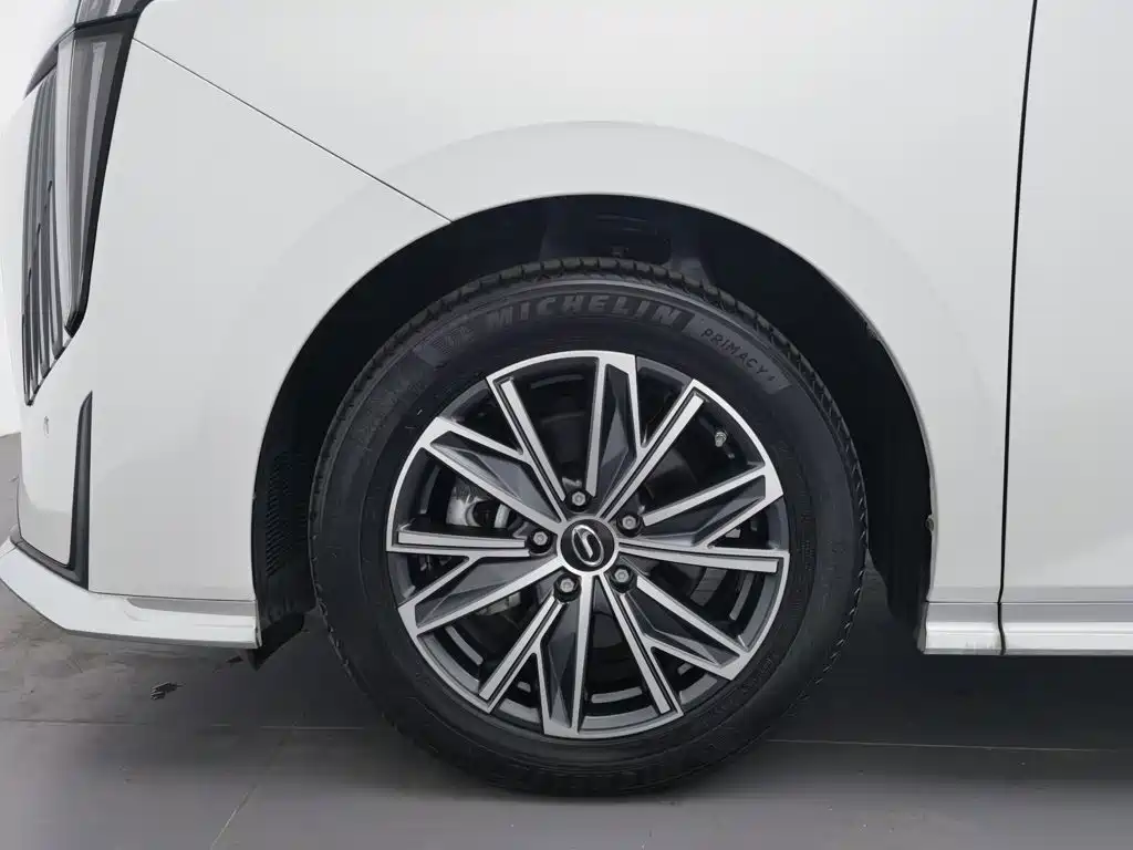 GAC Trumpchi M8 2024 — фото 17