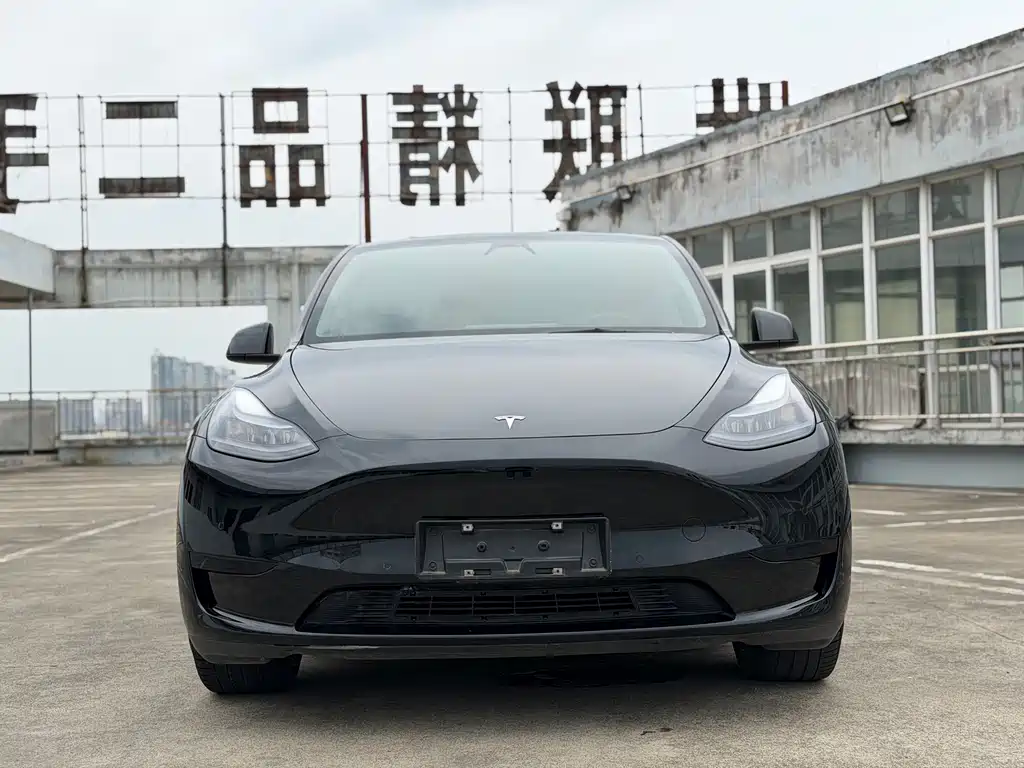 Tesla Model Y 2023 — фото 2