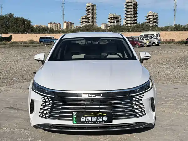 BYD Destroyer 05 2024