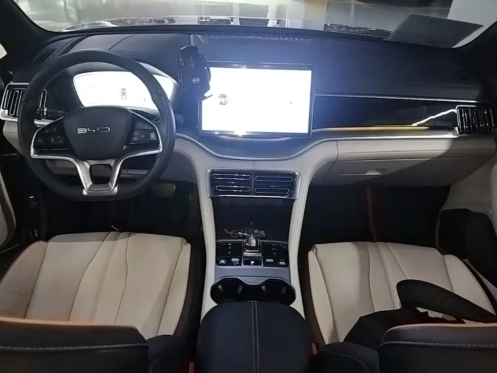 BYD Song PLUS New Energy 2024 — фото 10