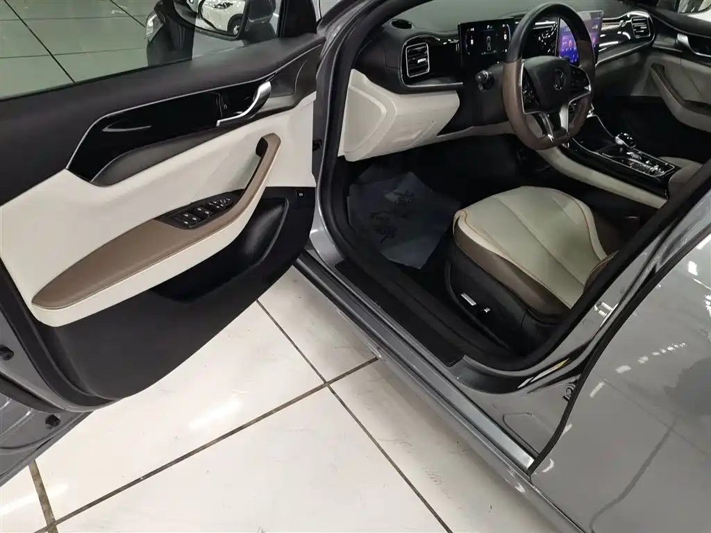 BYD Qin PLUS 2024 — фото 12