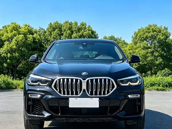 BMW X6 2021