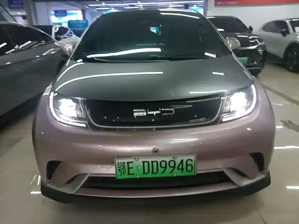 BYD Dolphin 2021