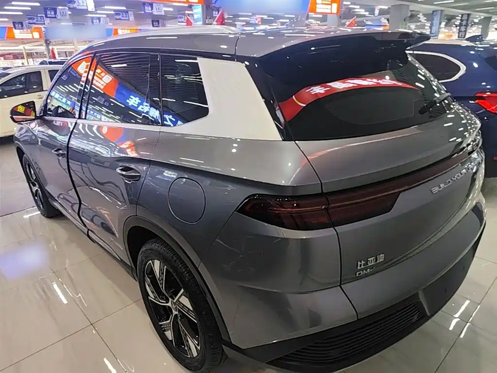 BYD Pro New Energy 2023 — фото 5