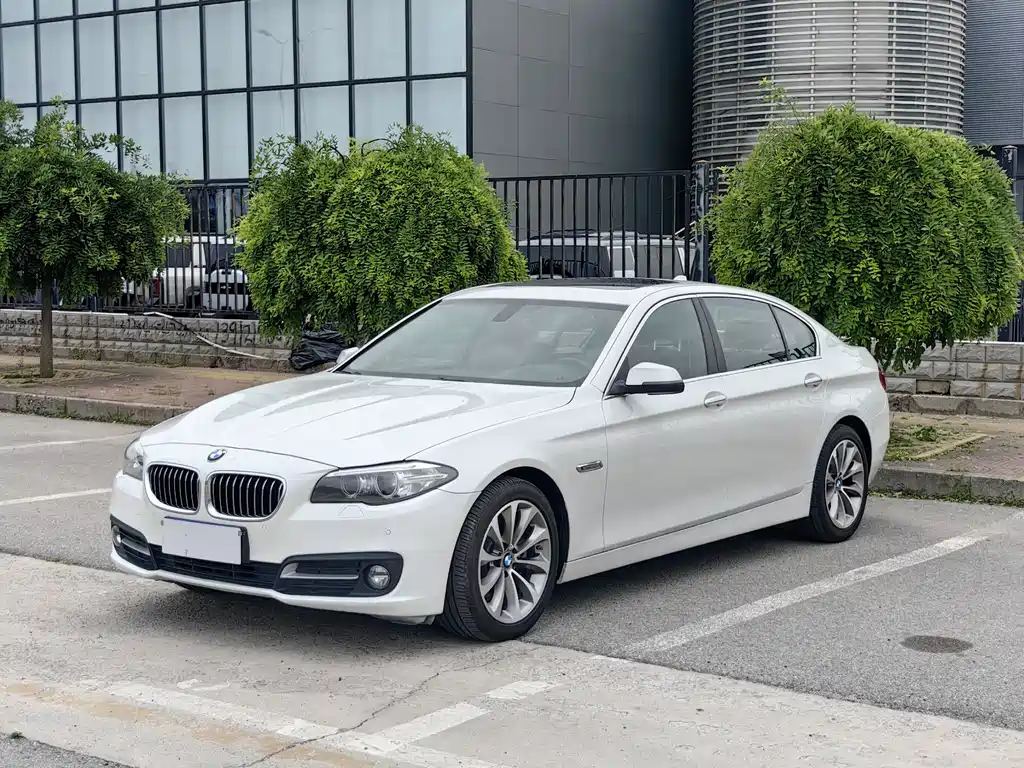 BMW 5 Series 2017 — фото 1