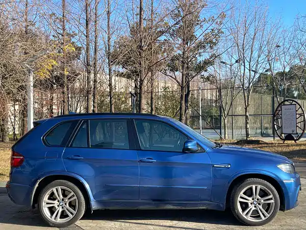 BMW X5 M 2010