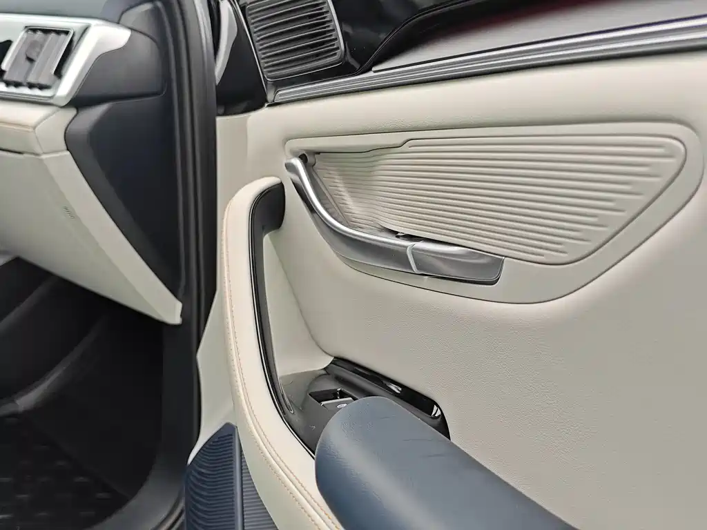 BYD PLUS New Energy 2023 — фото 15