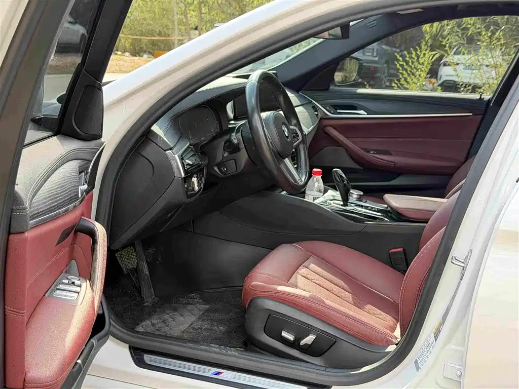 BMW 5 Series New Energy 2020