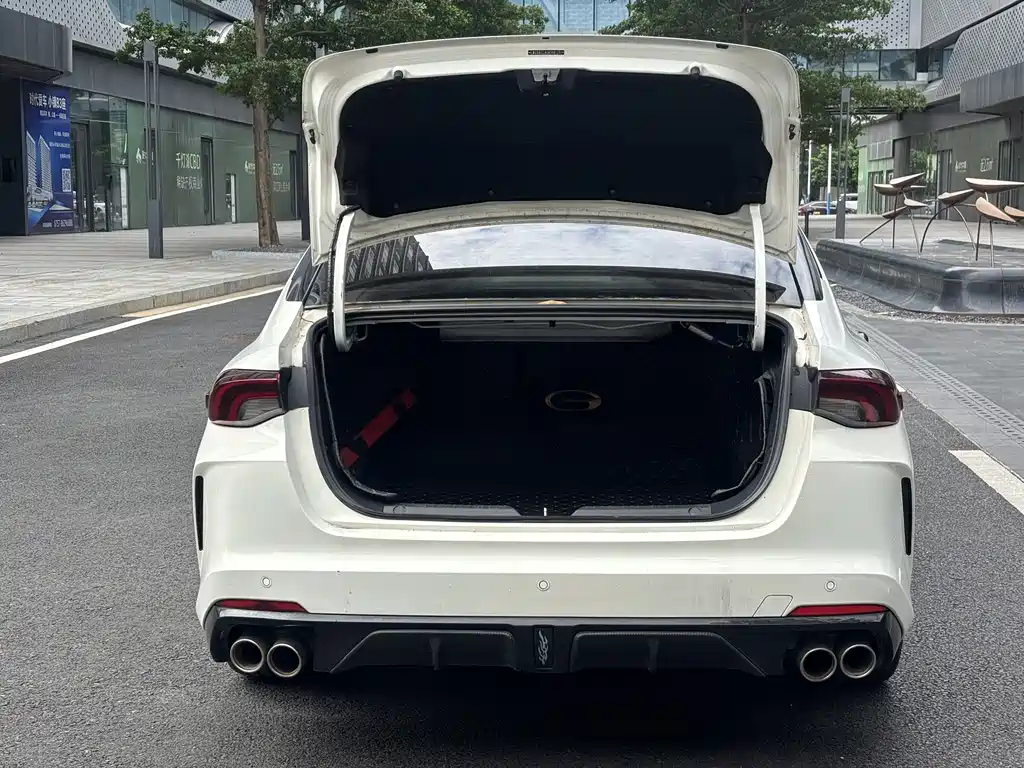 GAC Motor Shadow Leopard 2021 — фото 14