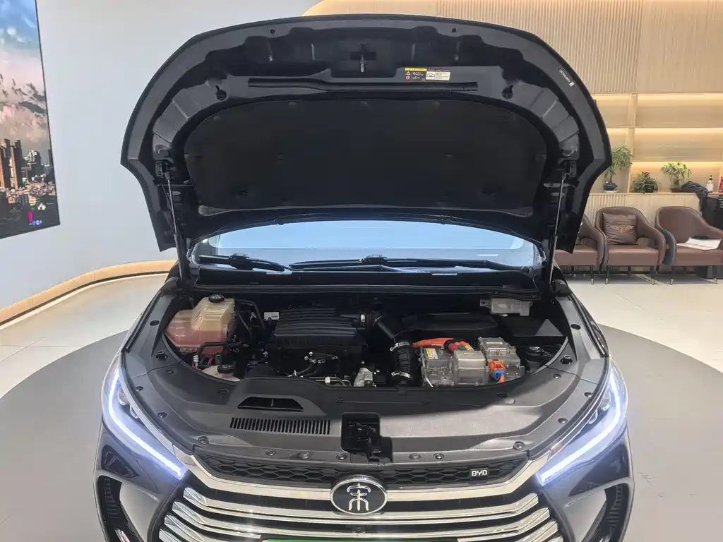 BYD MAX New Energy 2021 — фото 25