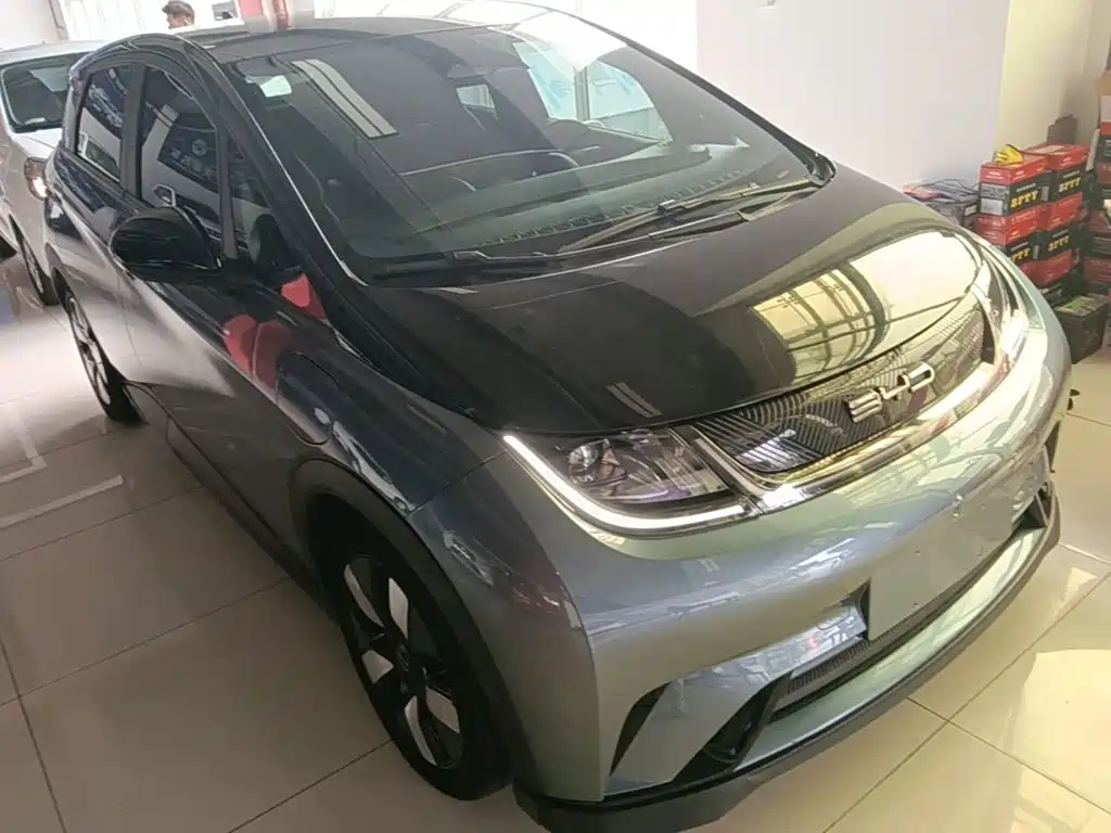 BYD Dolphin 2023