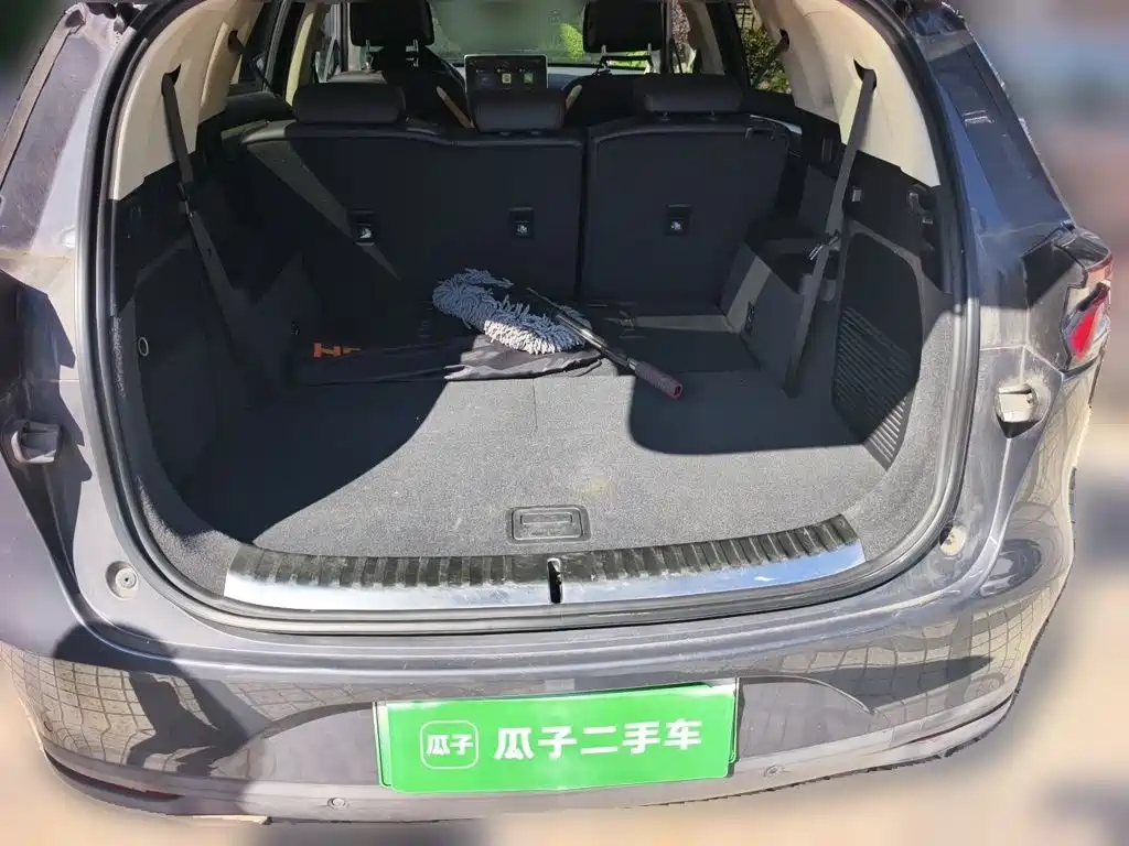BYD Tang New Energy 2019 — фото 10
