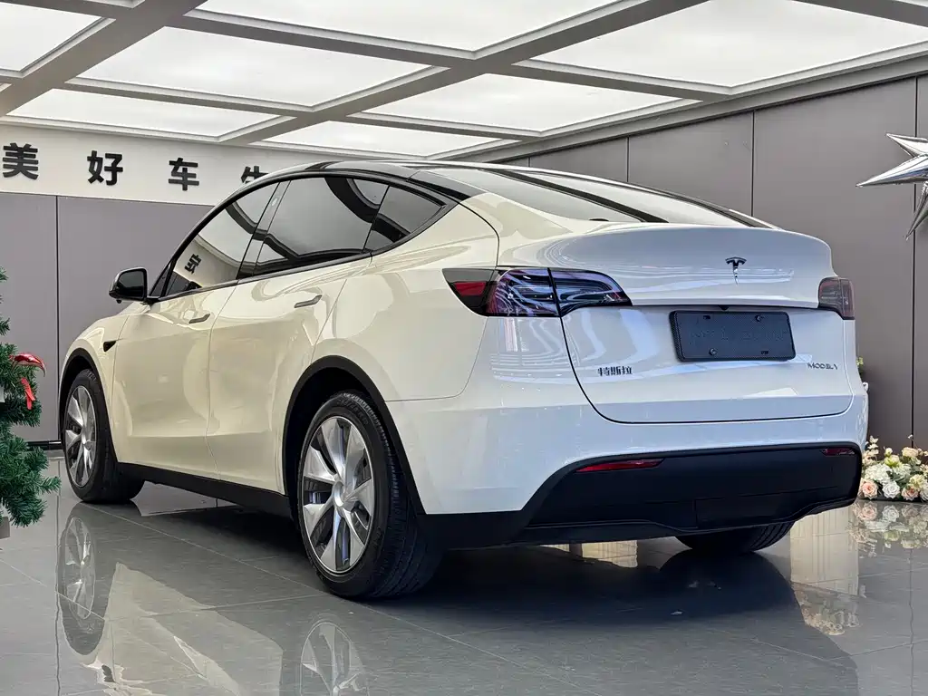 Tesla Model Y 2023 — фото 14