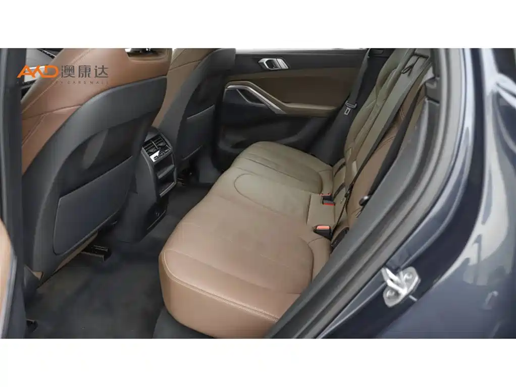 BMW X6 2021