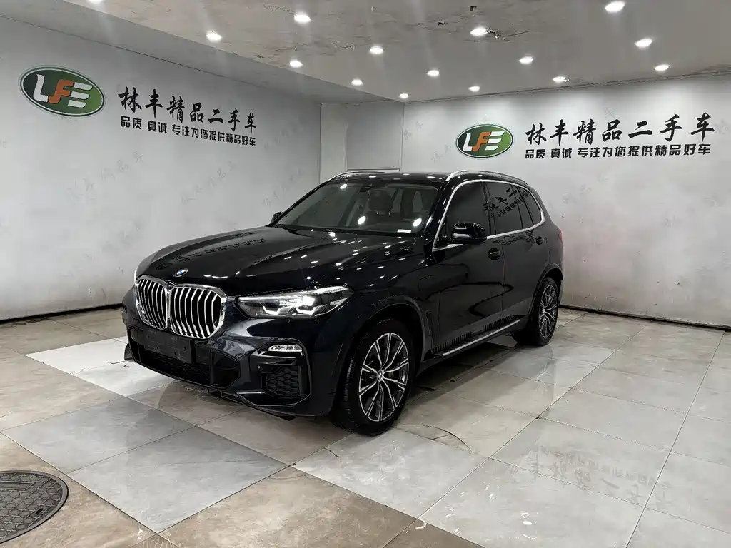 BMW X5 New Energy 2020