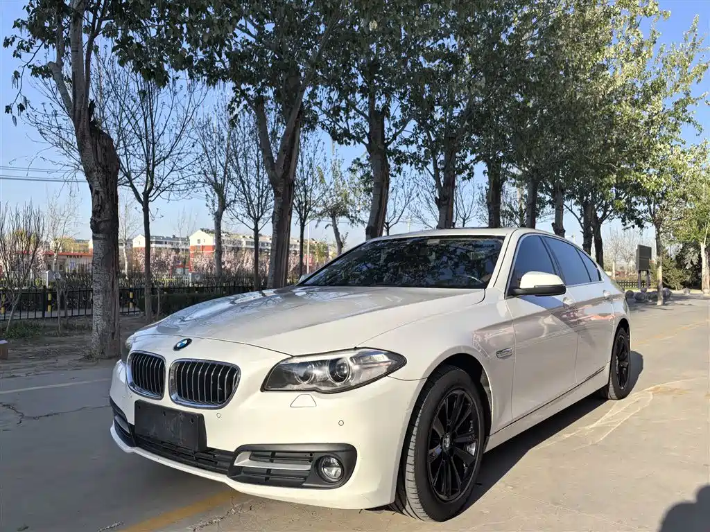 BMW 5 Series 2016 — фото 2