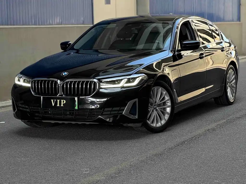 BMW 5 Series New Energy 2021