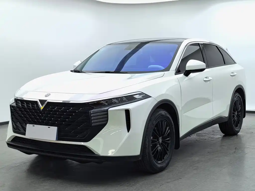 Venucia V 2022