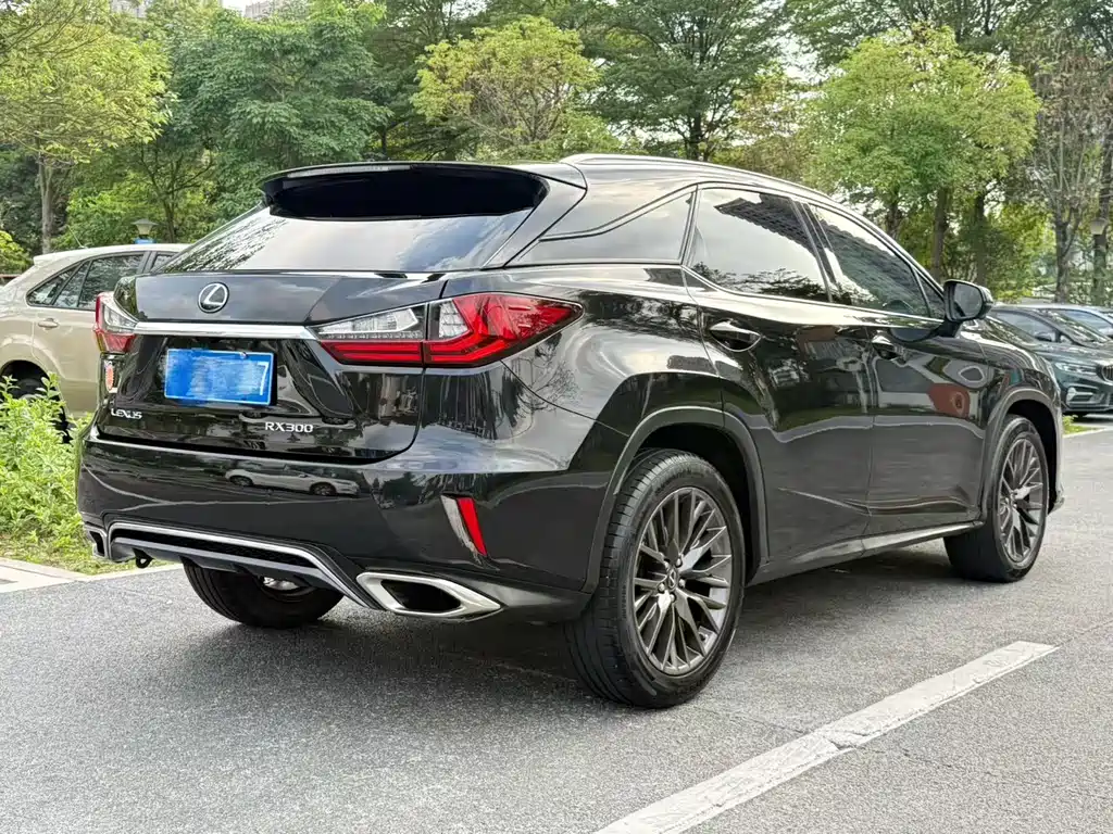 Lexus RX 2018 — фото 17