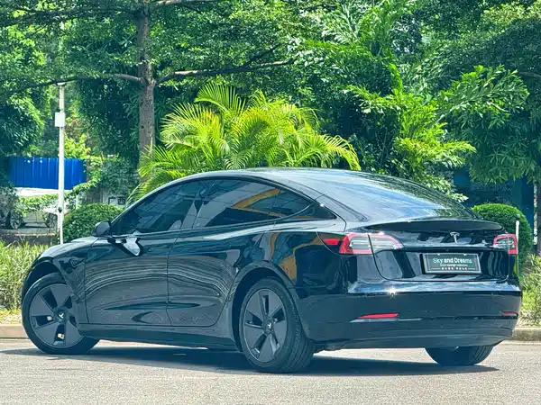 Tesla Model 3 2021