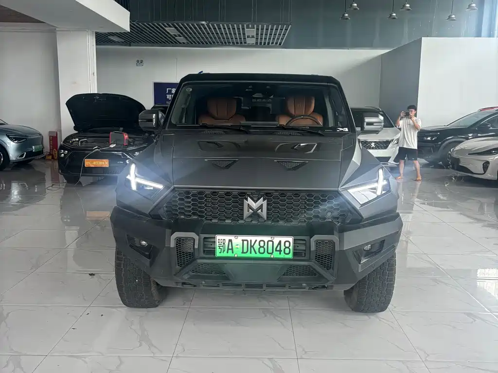 Mengshi 917 2024