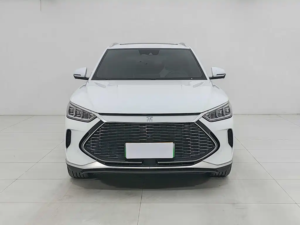 BYD Song PLUS New Energy 2021 — фото 2