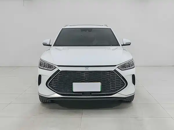 BYD Song PLUS New Energy 2021