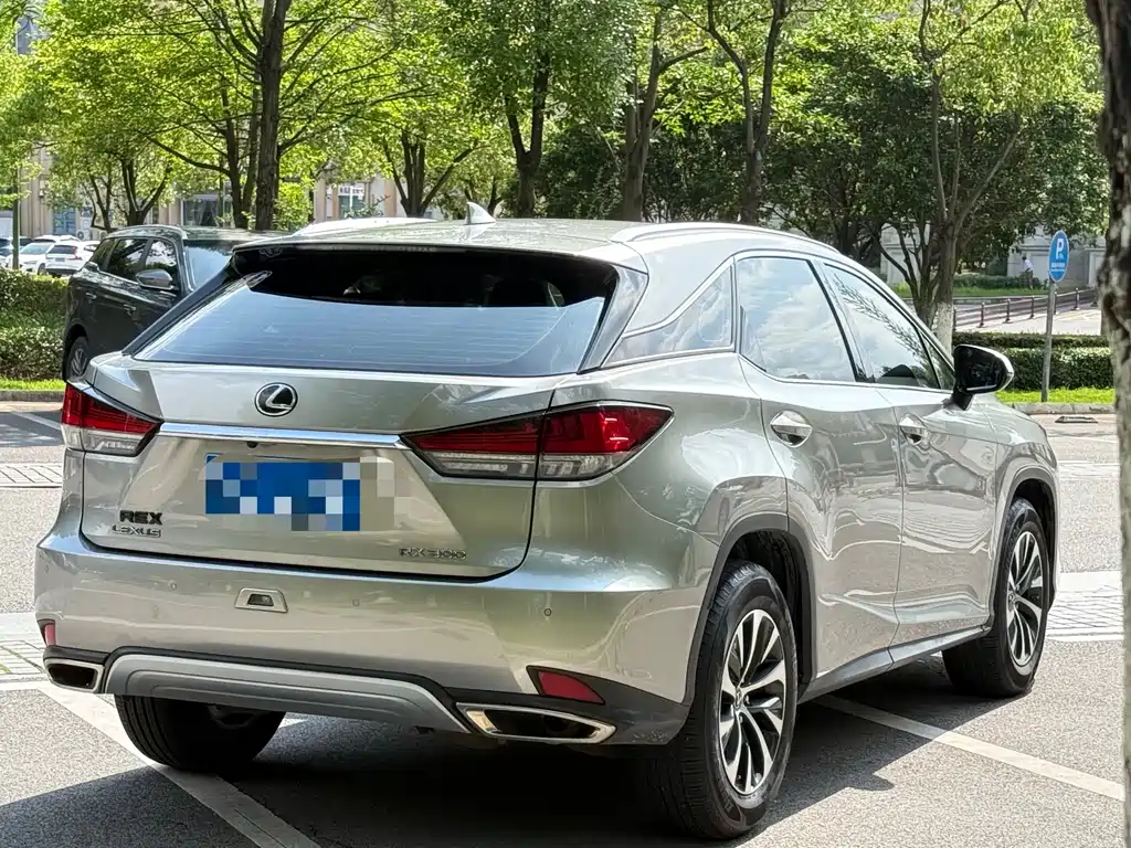 Lexus RX 2020 — фото 12