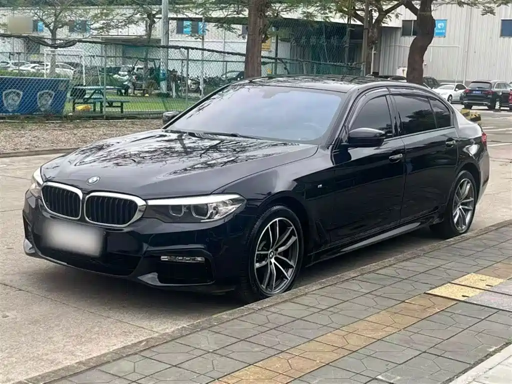 BMW 5 Series 2018 — фото 1