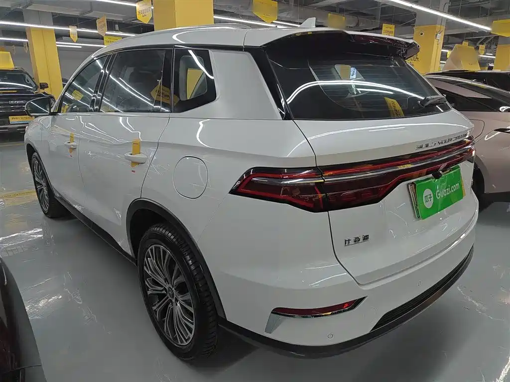 BYD Pro New Energy 2020 — фото 23