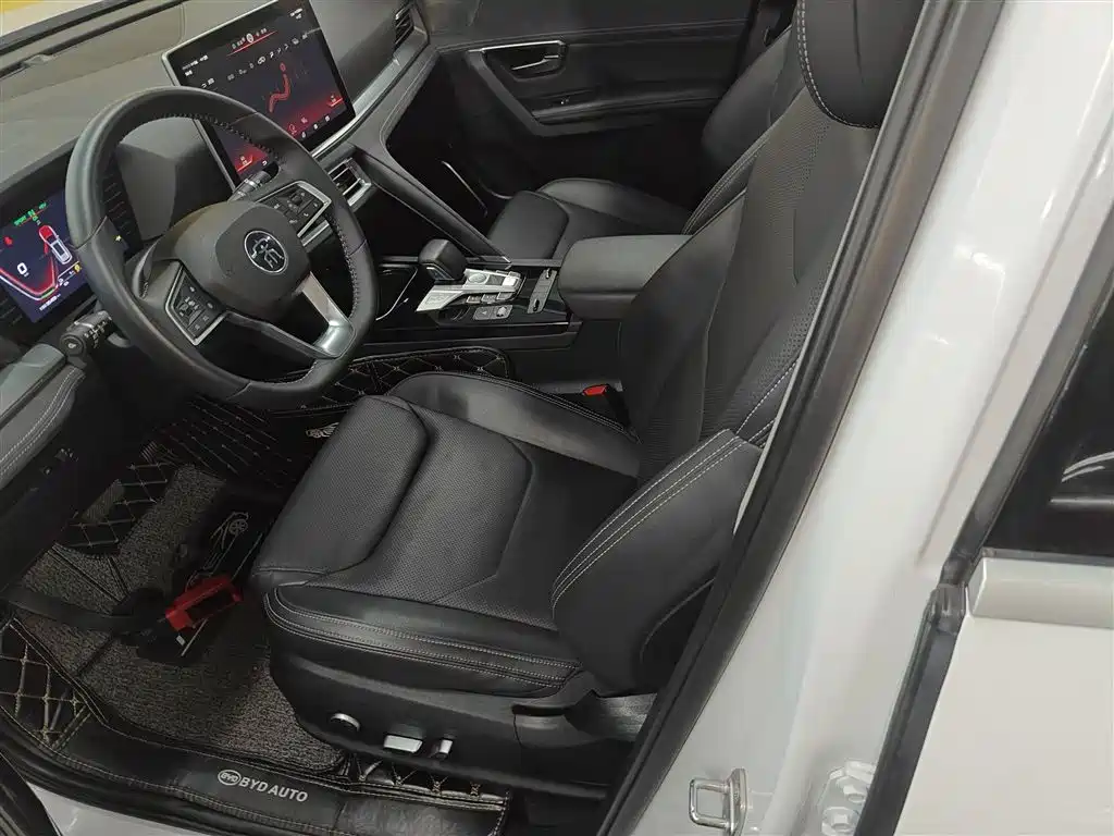 BYD Pro New Energy 2020 — фото 11