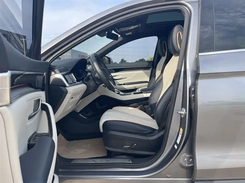BYD PLUS New Energy 2023 — фото 3