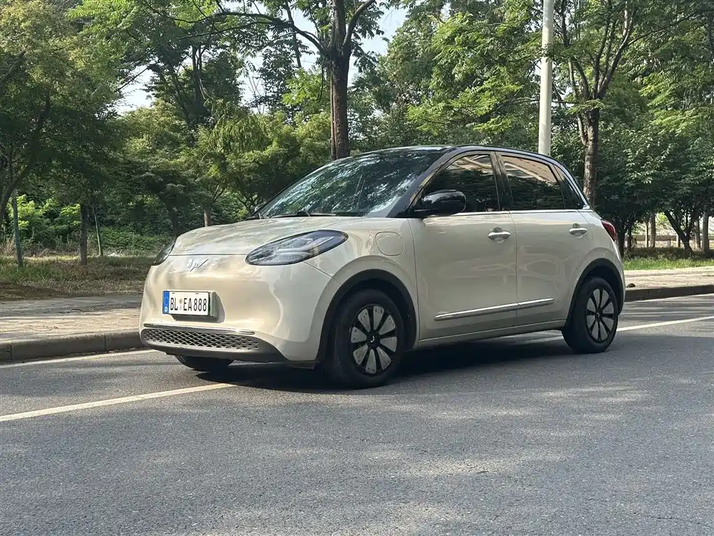 Wuling Bingo 2024