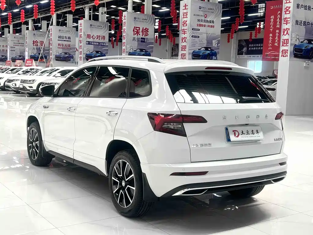 Skoda Karoq 2023 — фото 6