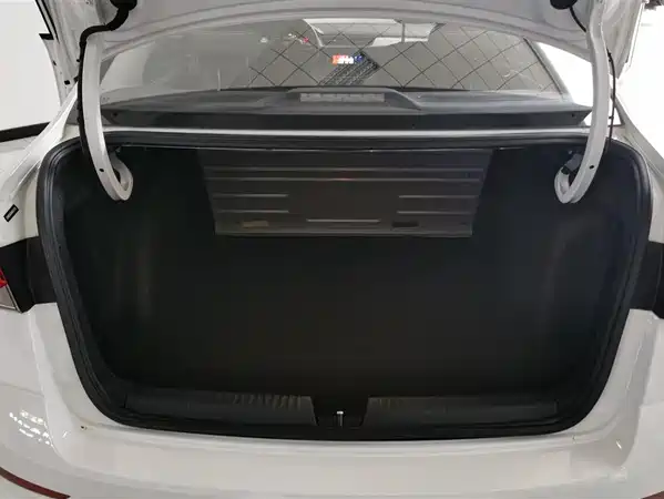 Skoda Rapid 2021