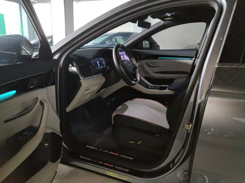 BYD PLUS New Energy 2024 — фото 16