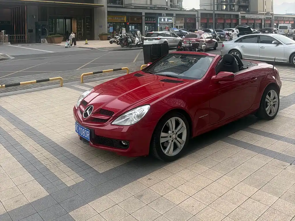 Mercedes-Benz SLK-Class 2010