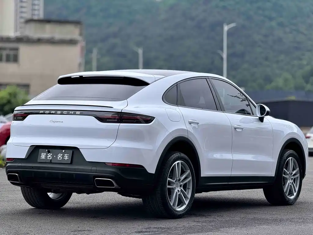 Porsche Cayenne 2020 — фото 11
