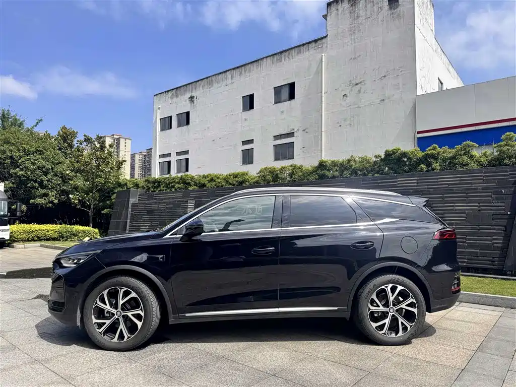 BYD Tang New Energy 2025 — фото 14