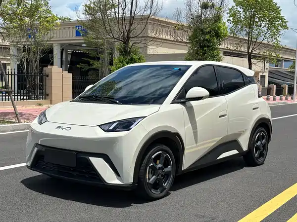 BYD Seagull 2024