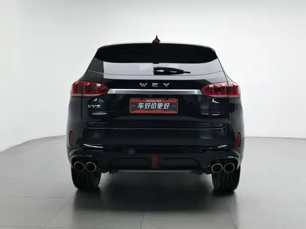 Wey VV6 2020