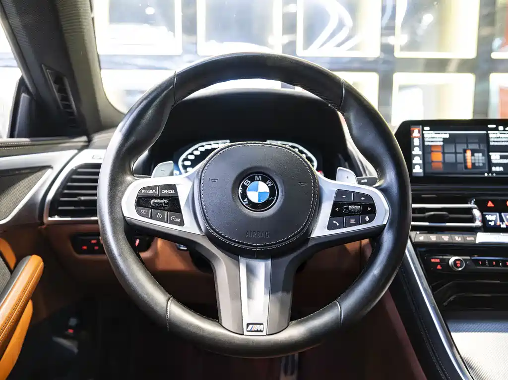 BMW 8 Series 2023 — фото 18