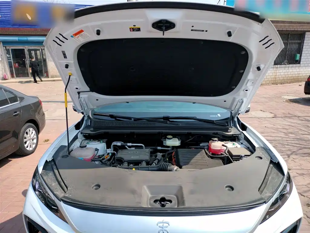 BYD Pro New Energy 2025 — фото 20