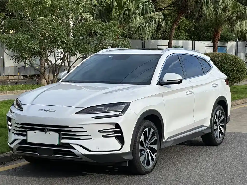 BYD PLUS New Energy 2023 — фото 2
