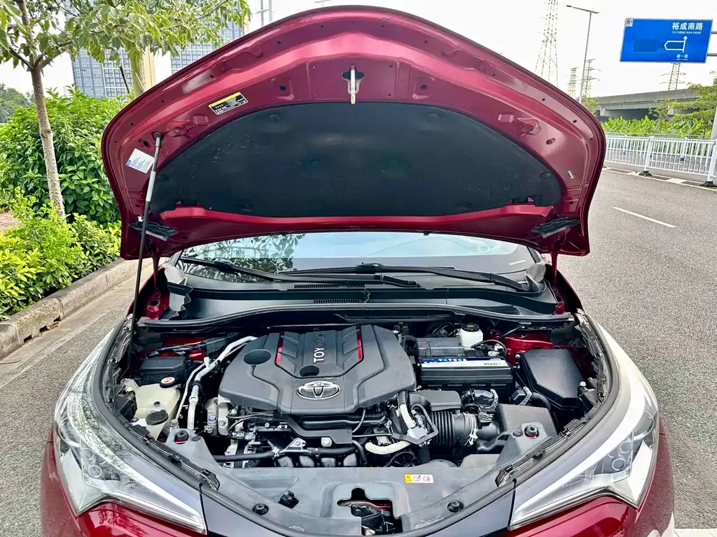 Toyota IZOA 2019