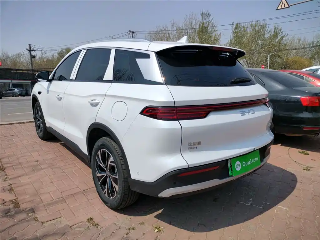BYD Pro New Energy 2025 — фото 5