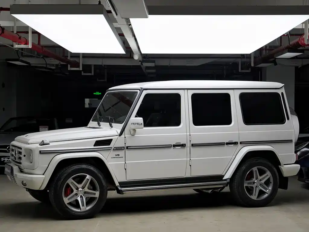 Mercedes-Benz G-Class AMG 2010 — фото 1
